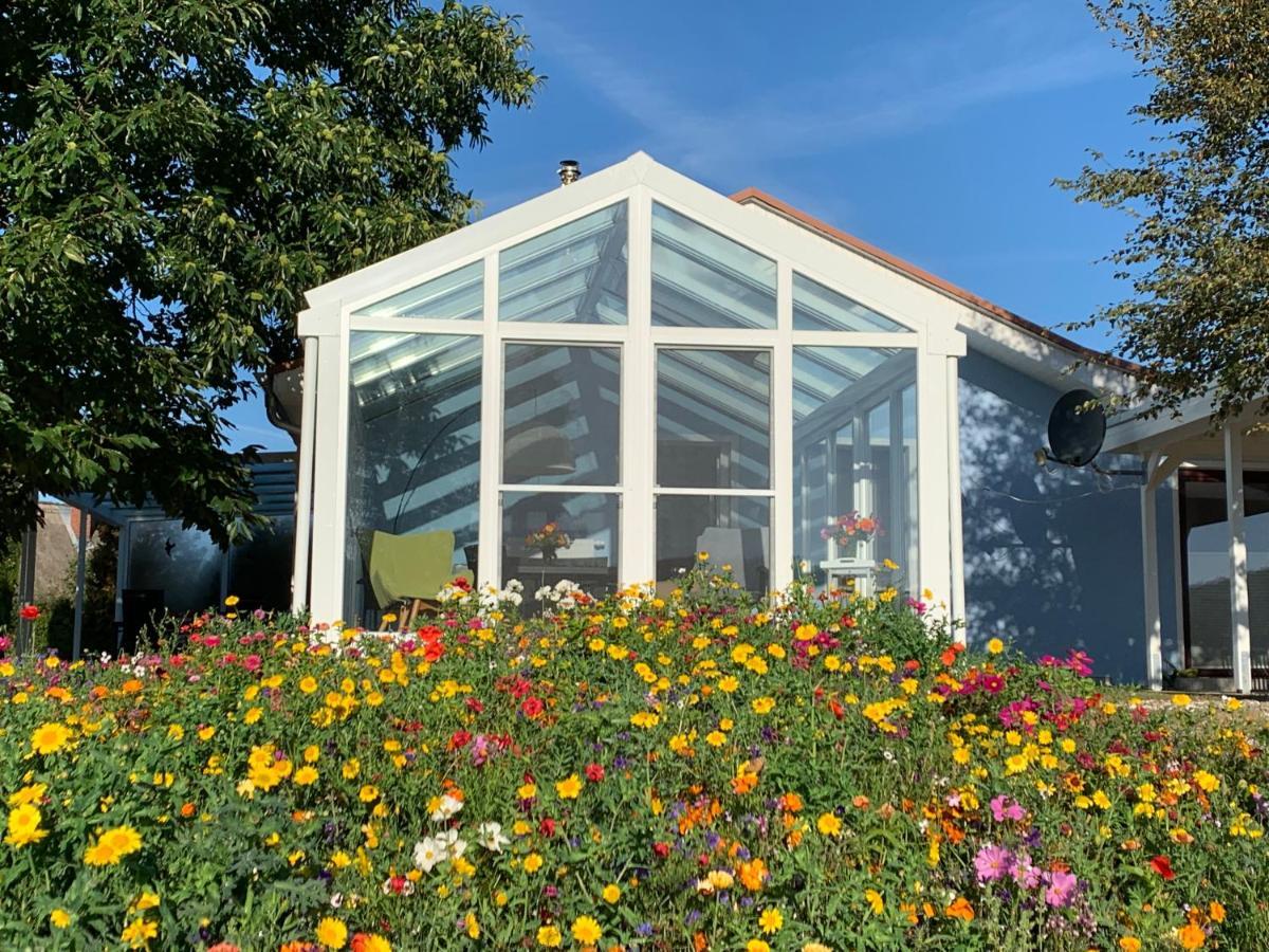 Ferienhaus Bei Den Kreidefelsen - Ihr Zuhause Auf Ruegen لوهم المظهر الخارجي الصورة
